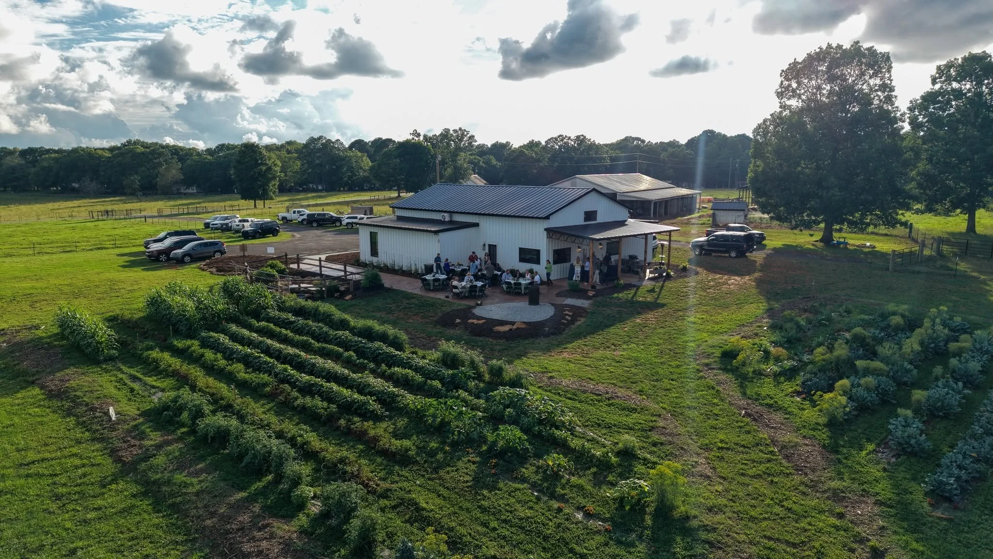 Aerial view of T.E. Market and its pastures in Anderson, South Carolina
